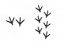 Stickdatei - Fußspuren Vogel